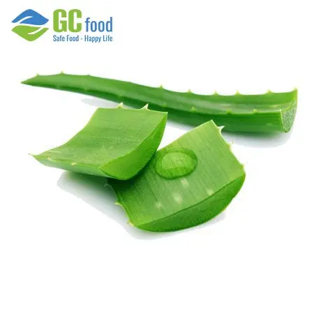 (GCFOOD) Aloe Vera Gel Dice Pulp High Quality/Ms.Anna+84 364930172