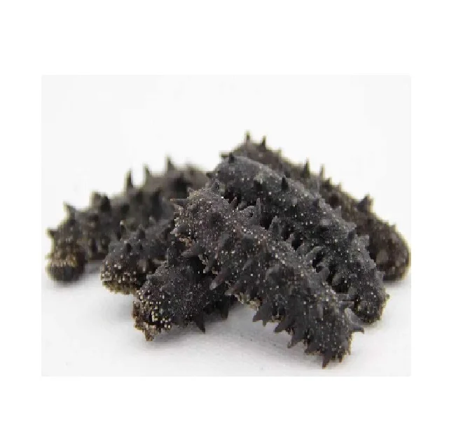 HIGH QUALITY BEBAUTY TREATMENT STOCK FOR SALE NATURAL DRIED FRESH SEA CUCUMBER VIETNAM //Rachel: 84896436456