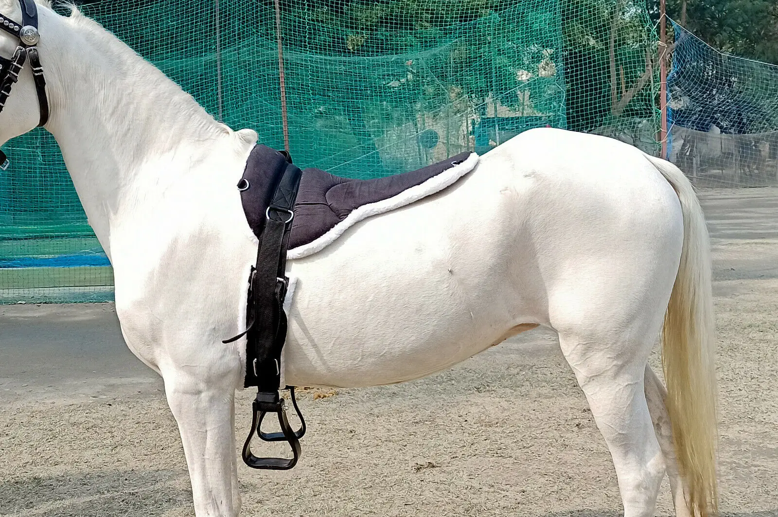  BAREBACK PAD WITH STIRRUPS AND GIRTH TREELESS RIDING SADDLE IN MULTIPLE COLOURS