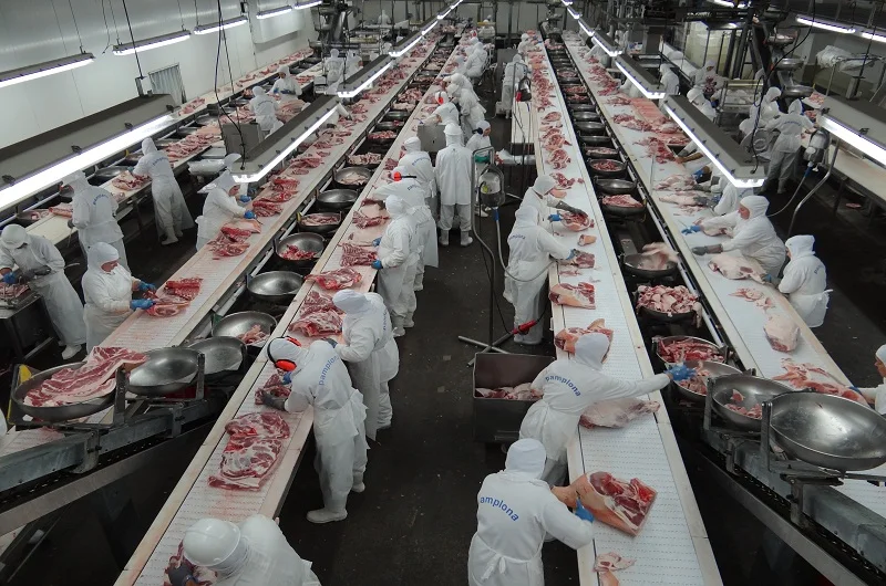 Оптовая продажа говядина замороженная хвостовик мясо без костей кубический рулон фиалка (Bullwhip) страурин патрон Халяль