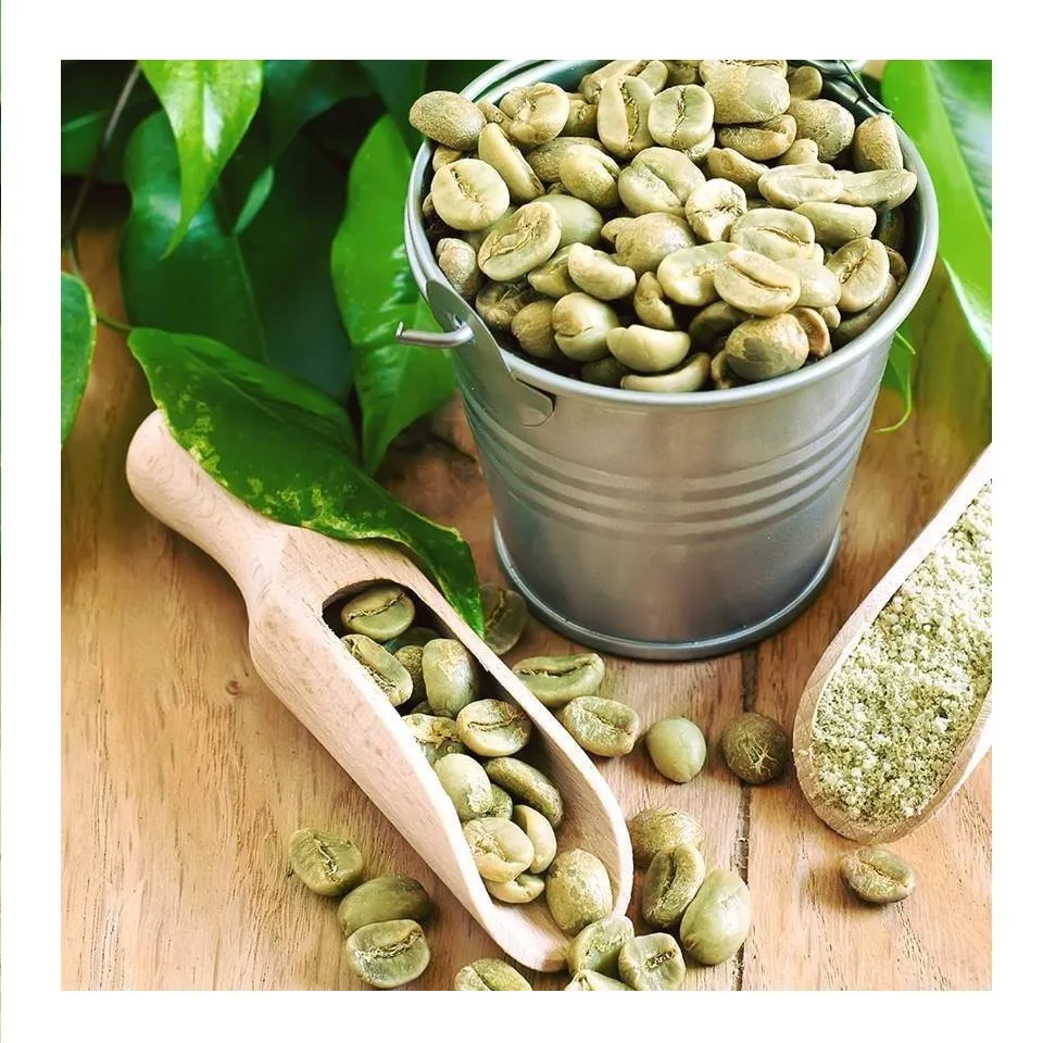 Оптовая продажа кофейные зерна arabica зеленый набор для зеленого напитка