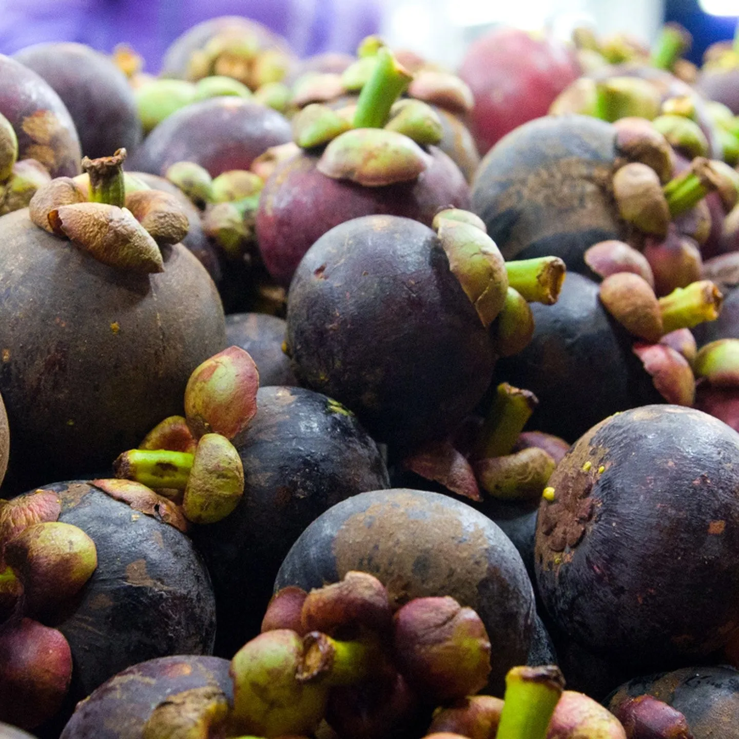 Fresh Fruit Organic - Mangosteen With Highest