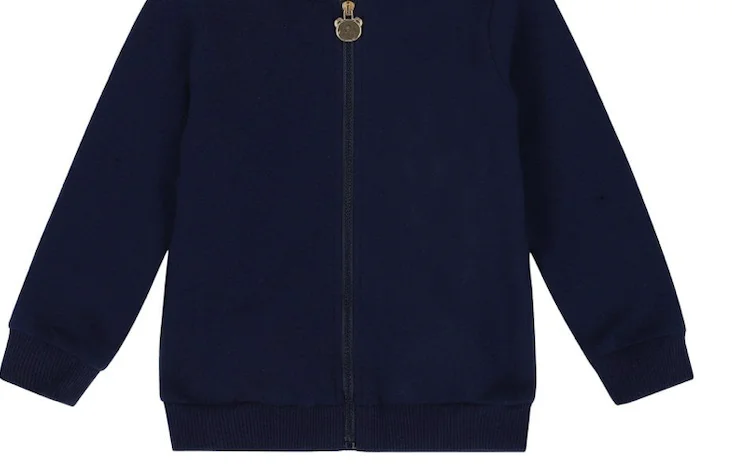 Organic bamboo children hoodie set wholesale Kids jogger sets customize toddler clothes sets eco friendly boy kids tracksuits