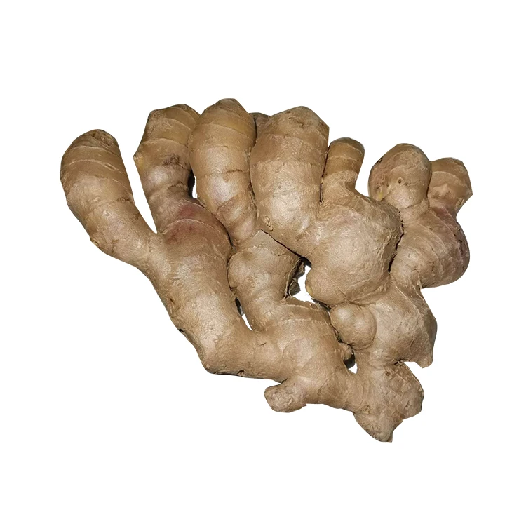
Shandong fresh ginger for export 