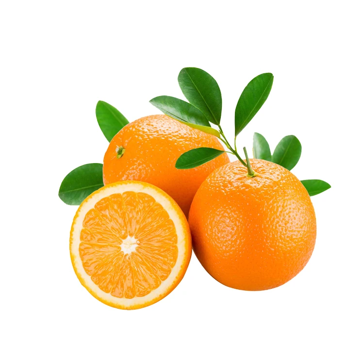 
Low Price For Fresh Orange Fruit Wholesale Valencia & Navel Orange new product 