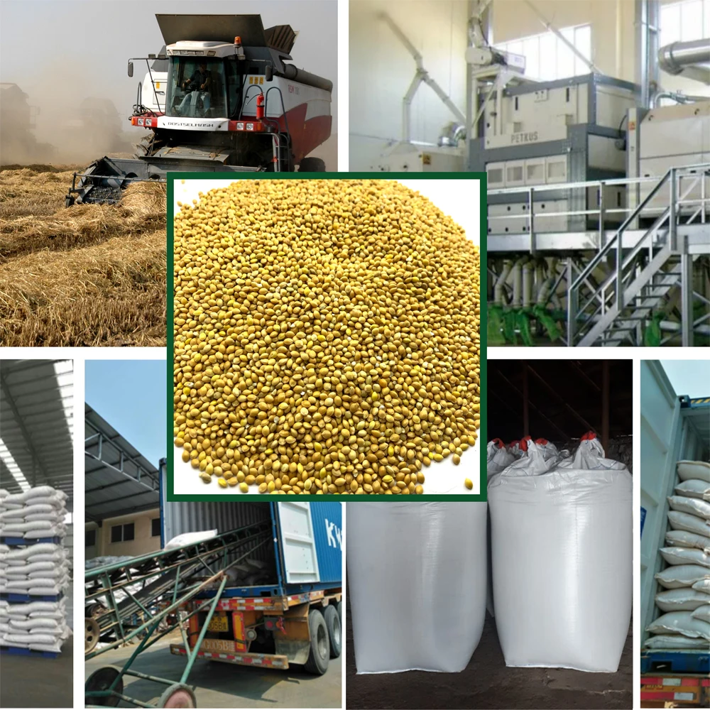 Высококачественные органические пакеты из проса 25 кг, продукт из России