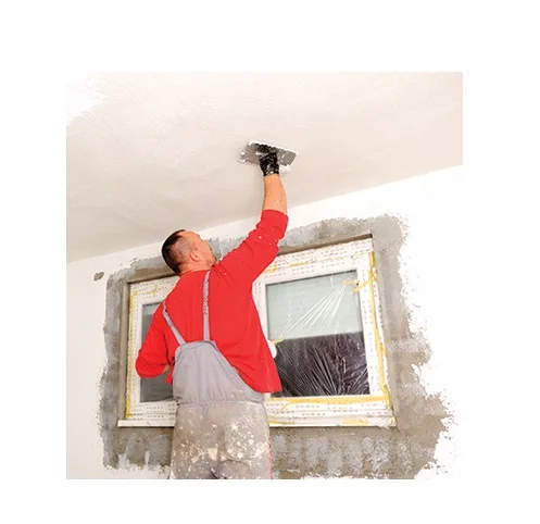 Anti Mold / Mildew / Fungus / Algae Primer