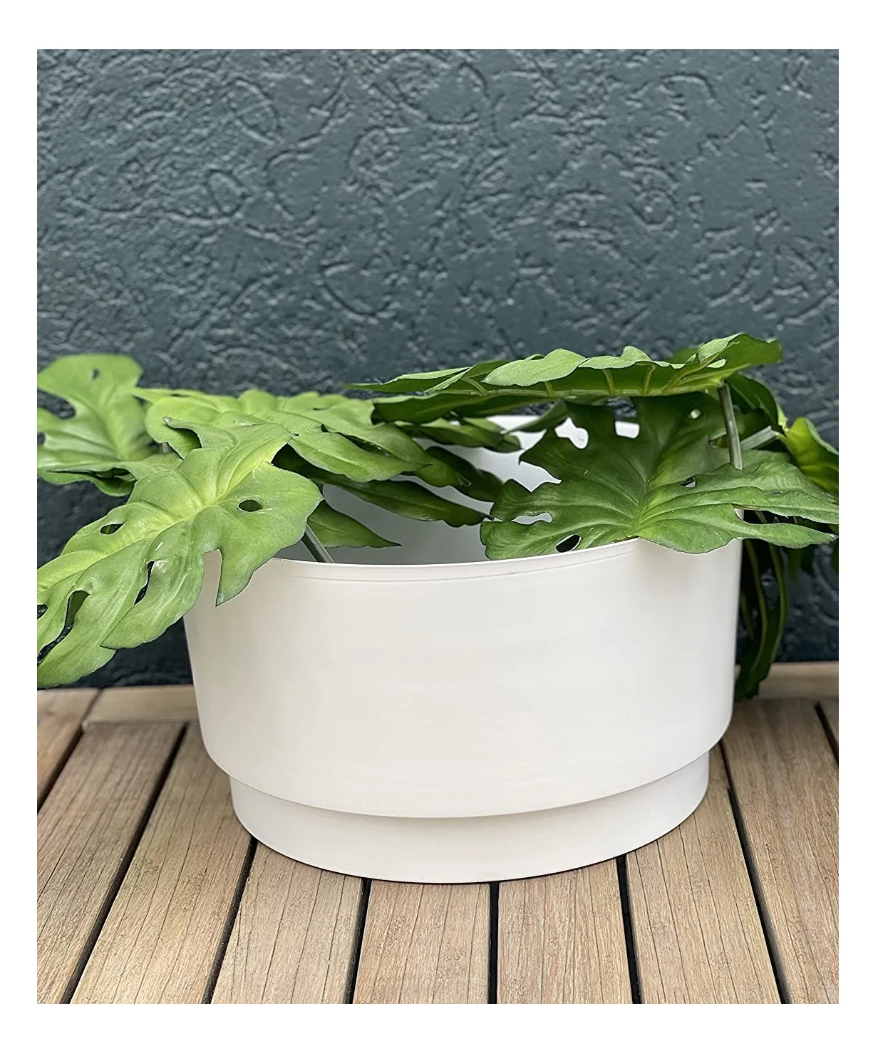 Urban Born Planter Flower Pots for Home Gardening with Plant Stands and Flower Pot for Home Decor Items.