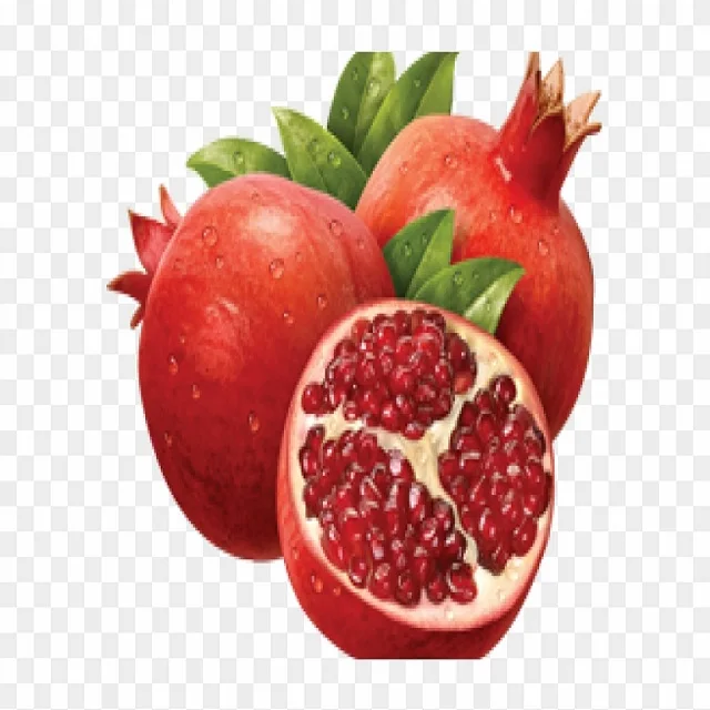 Экспорт решения продление сезона погранита
