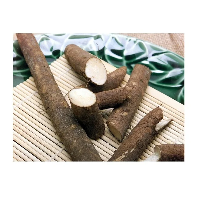 Высококачественные свежие овощи Burdock для продажи по самой низкой оптовой цене в массовом количестве