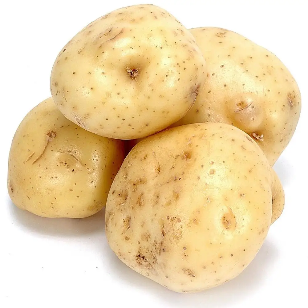 
HIGH QUALITY Fresh Potatoes for export 