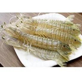 Hot Selling Raw Fresh Natural Seafood Food Air-Dried Debris Mantis Shrimp For Cook From Private Label In Vietnam