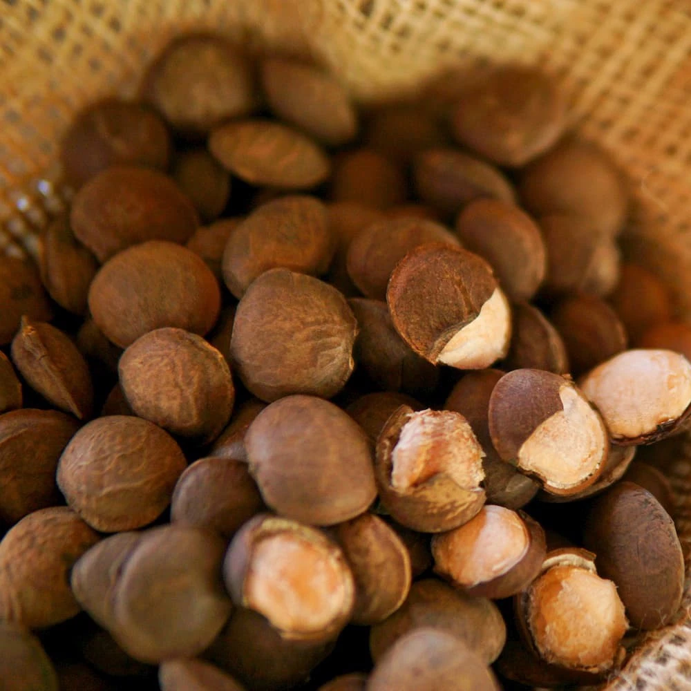  Низкая цена Сушеные Орехи SACHA INCHI/здоровые белые семена INCHI из Вьетнама-Ms Elaine + 84 375 431 541