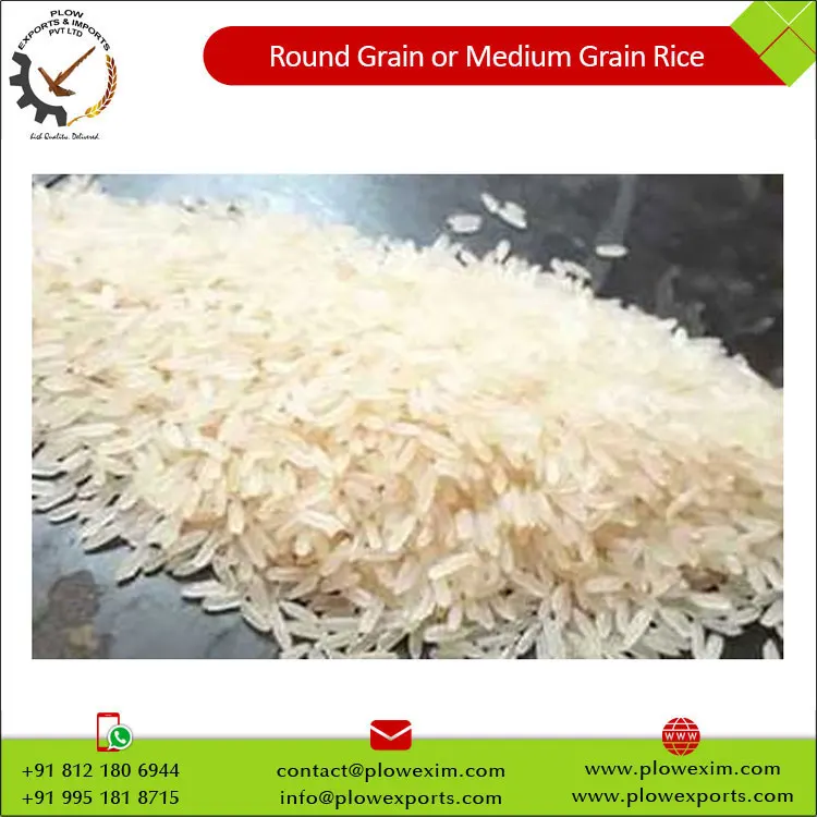 Round Grain or Medium Grain Raw Rice 5% Broken Round Rice Bulk Supply from India
