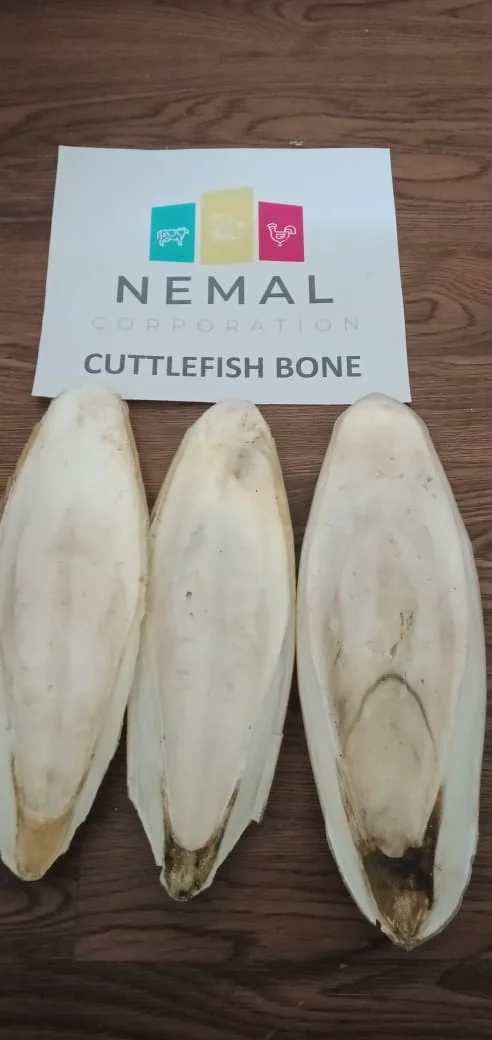 
Dry Nutritive Cuttlebone 