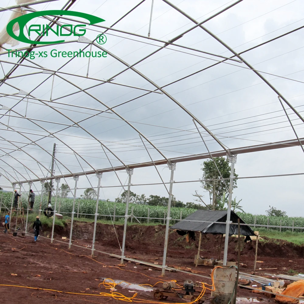 Industrial Commercial Low Cost Multispan UV greenhouse plastic film for sale