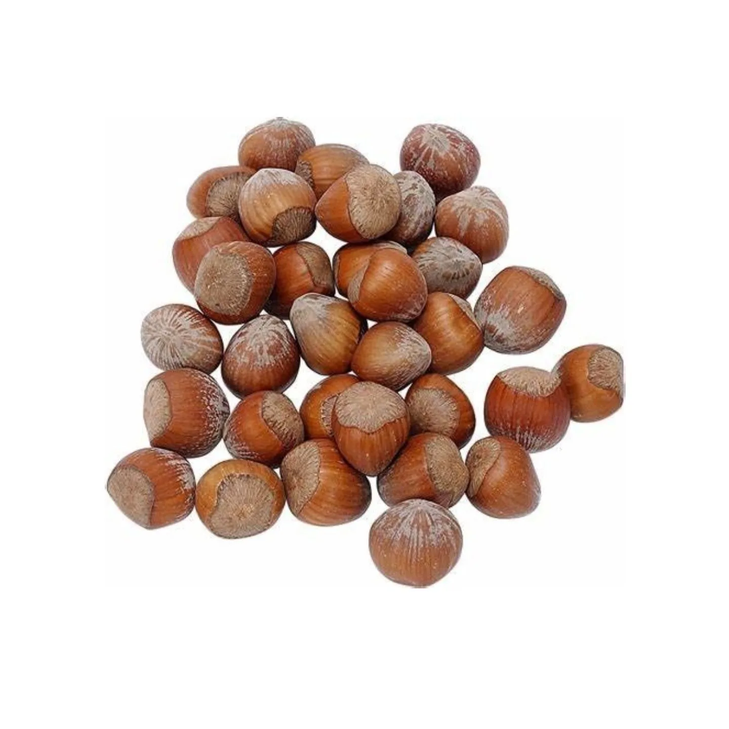 
AGOLYN оптовая продажа, каштановое сырье, свежие ядра каштана 