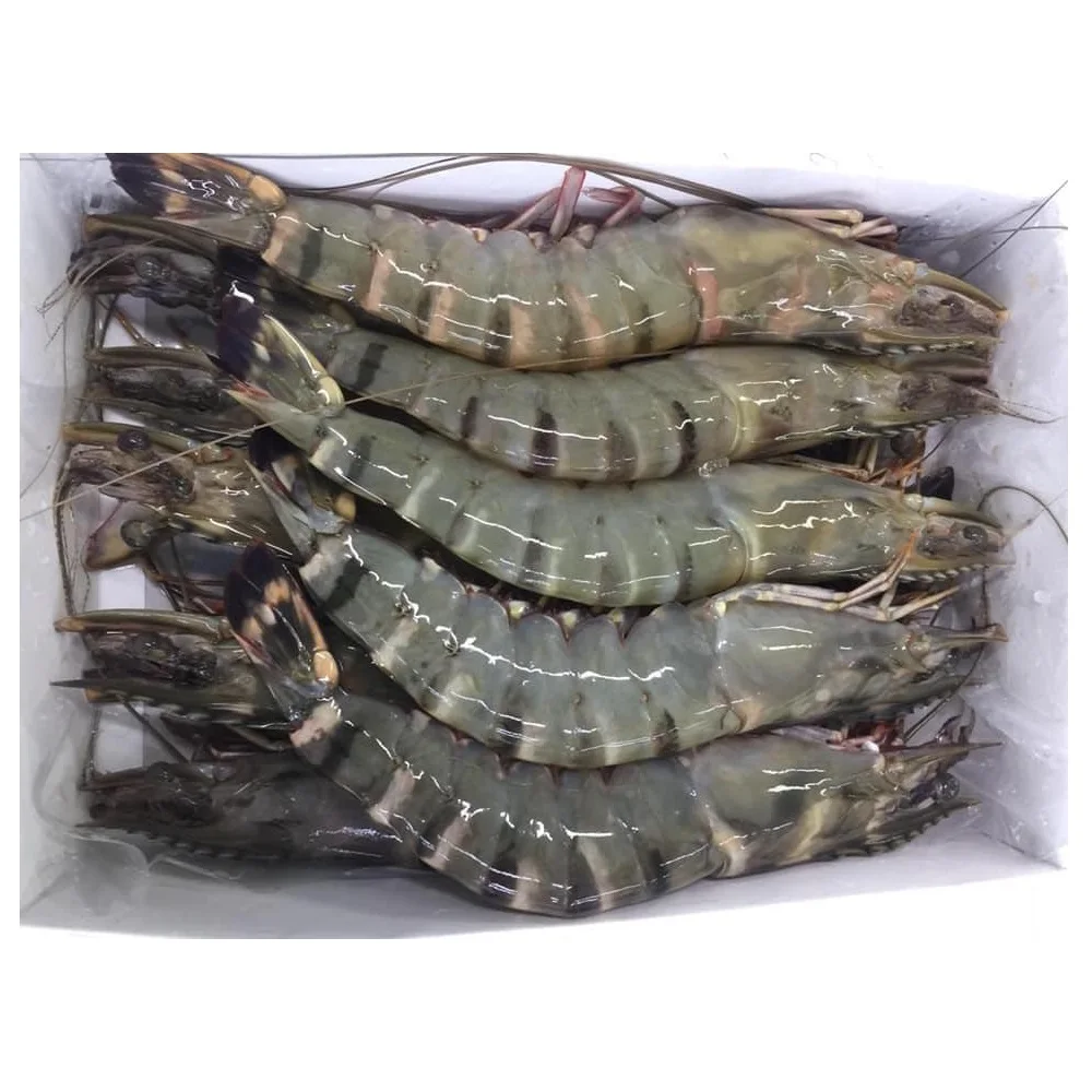 Оптовая продажа замороженных свежих черных тигровых креветок из Вьетнама по лучшей цене