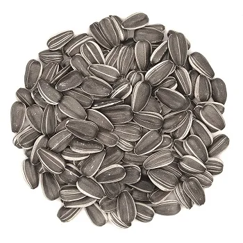 
Quality Sunflower Seeds 