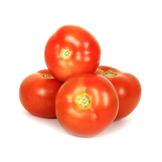 
Fast Delivery Good Fruit Setting Tomato Seeds Hybrid F1 Cherry Tomato F1 Seeds Canned Tomato Ketchup 