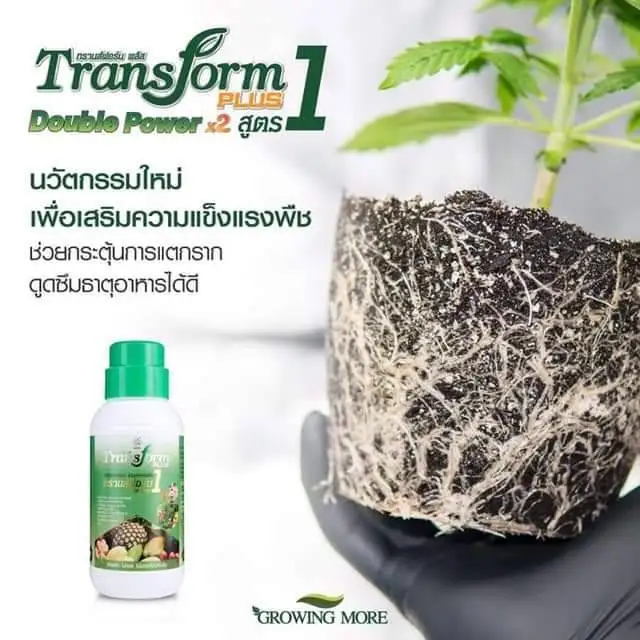 Manufacturers TRANSFORM PLUS 1 Liquid Fertilizer Plant Supplement Agrochemicals Bottle Best Quality Thailand for Export