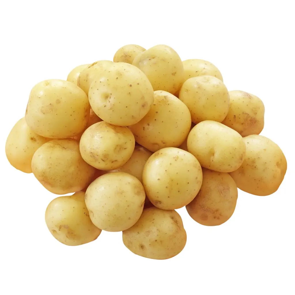 Wholesale Price High Quality Export Oriented 100% Organic Fresh Potato Oval Shape Potatoes From Bangladesh