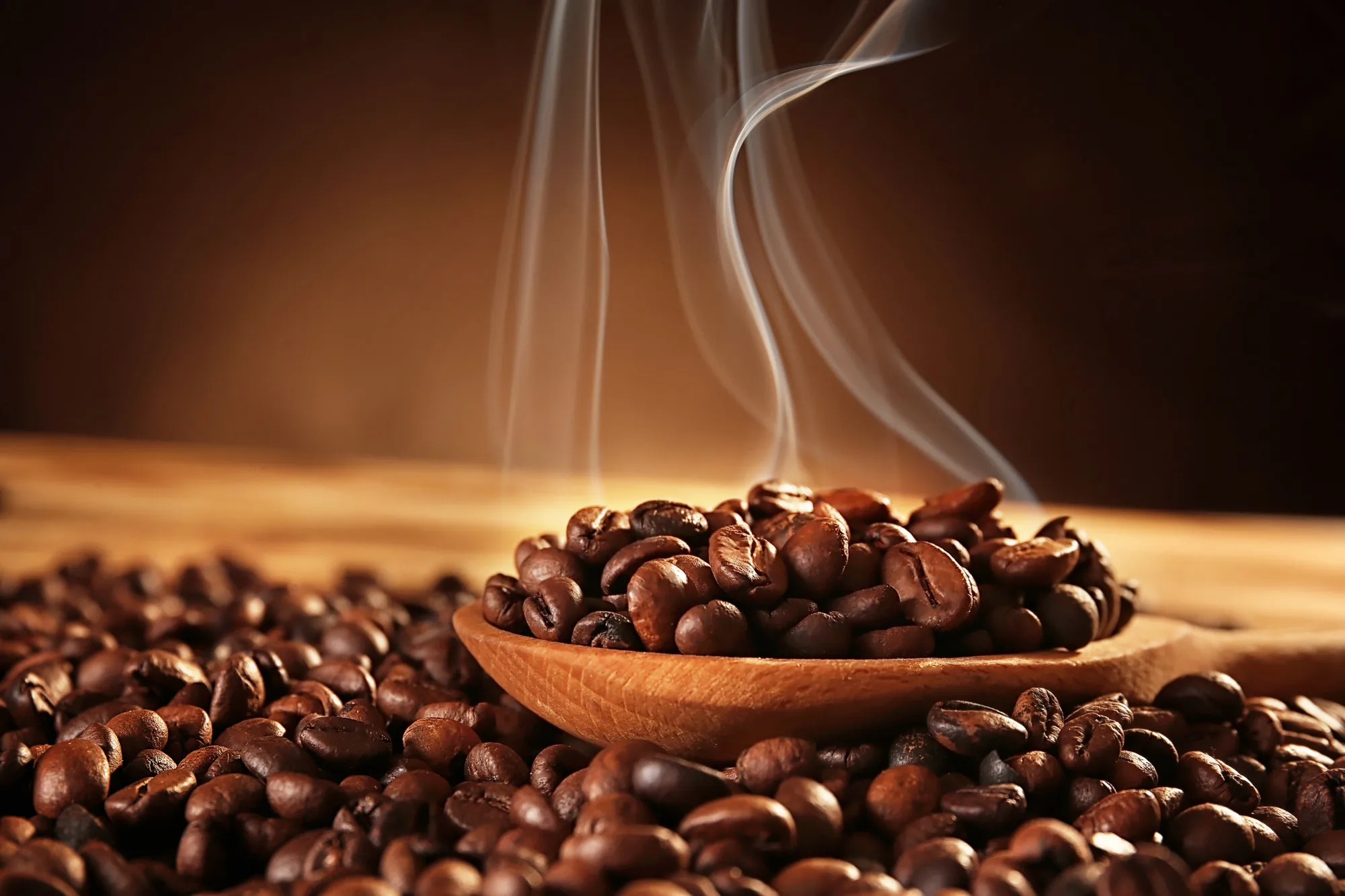Высококачественный КОФЕ Robusta Средний жареный по лучшей цене Лидер продаж 2021 продукт 100% свежий Лучшая цена