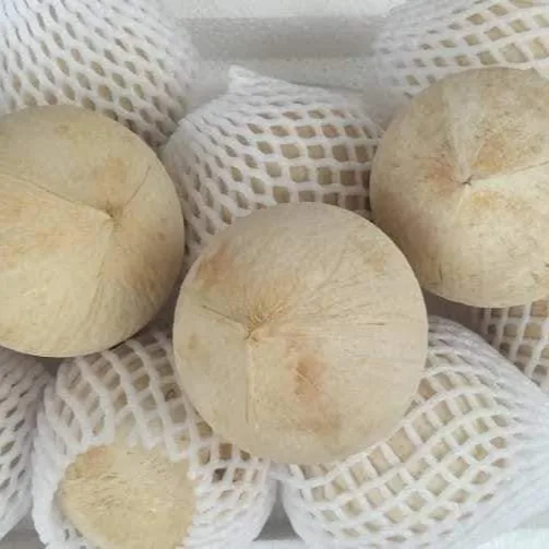  Свежий молодой кокос из Вьетнама высокое качество конкурентоспособная цена на экспорт