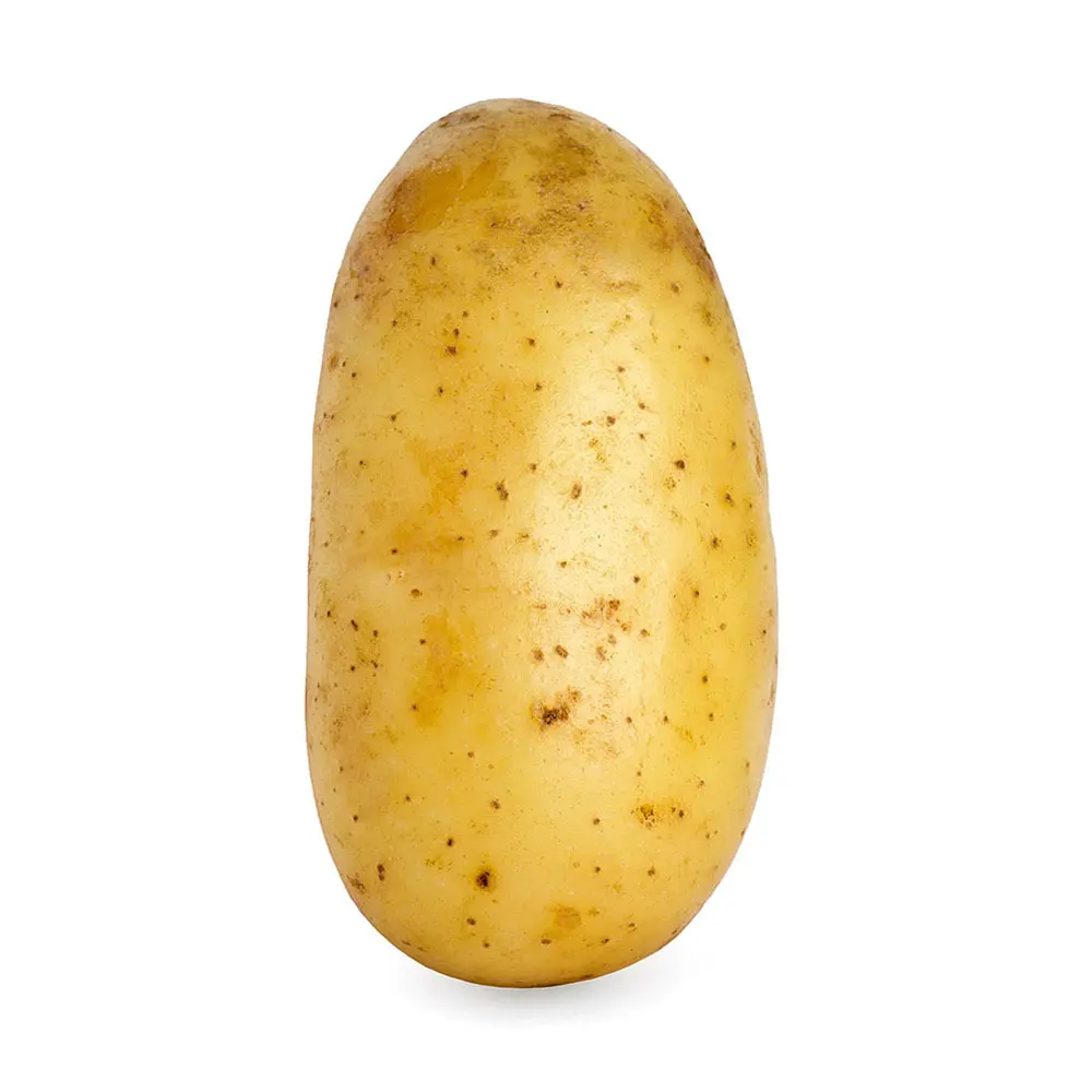 Good Quality Big Size Fresh Potatoes From Pakistan / Wholesale Price Bulk Quantities Potato With very Low Price