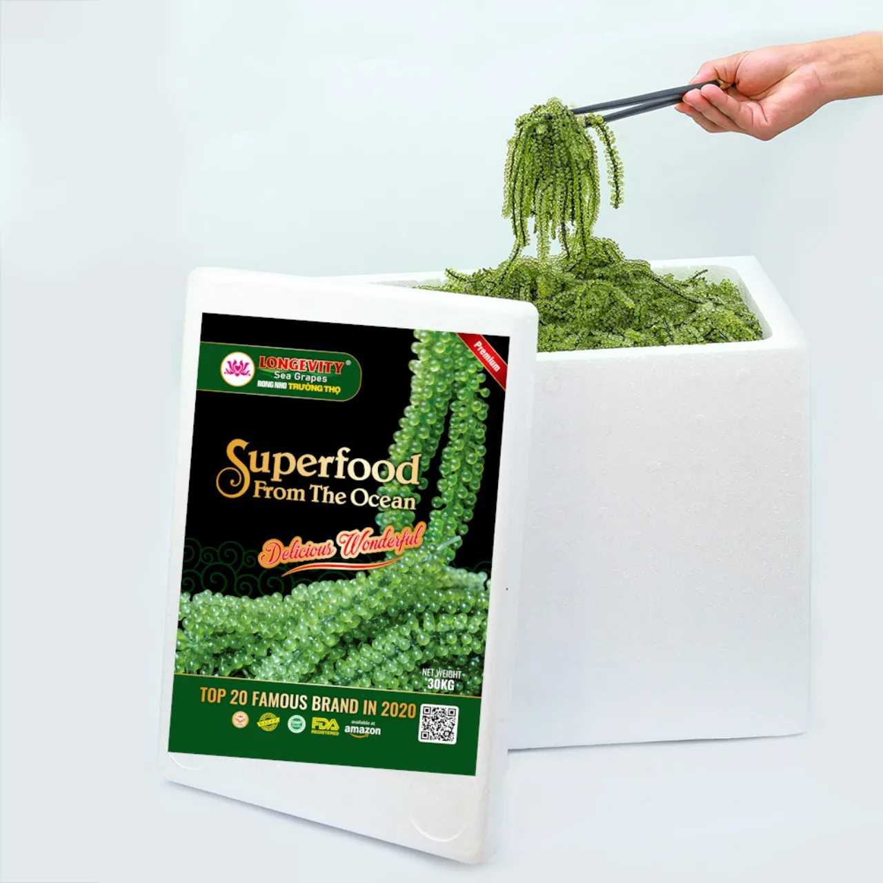 Vietnamese Manufacturer Seagrapes Seaweed Product certified Protect the brand Ms.Tina (Whatsapp) +84 982792187
