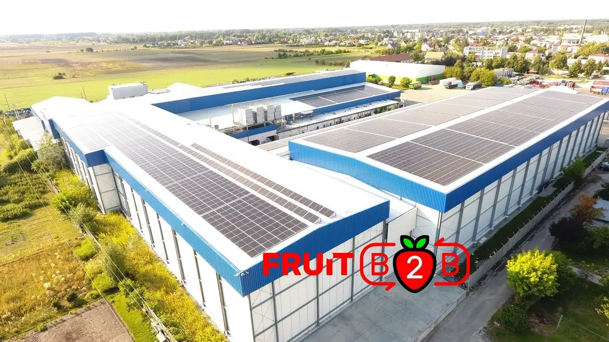 Оптовая продажа замороженные фрукты из Польши замороженная Малина и