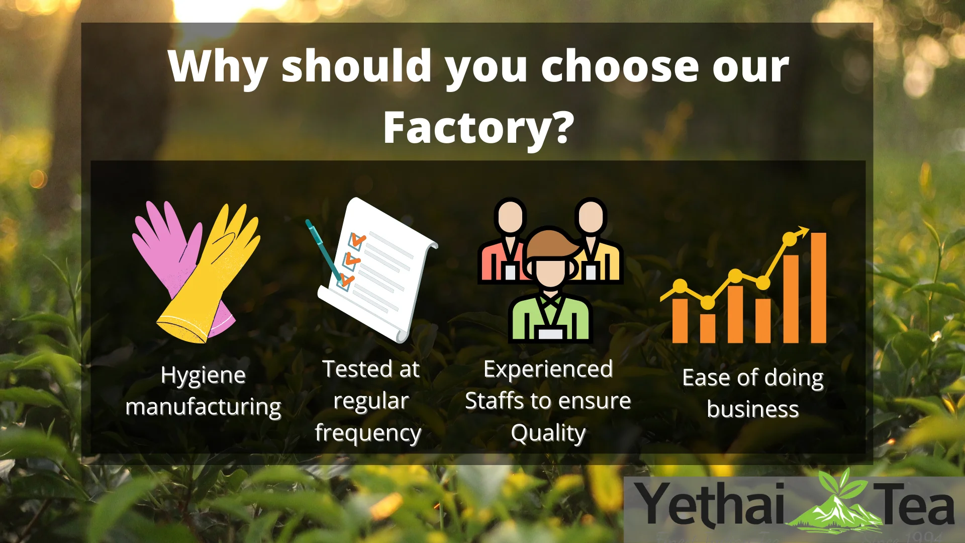 Factory Direct Sale Strong Black Tea in Bulk for Import Original Bulk Tea Supplier in India Tea Loose Leaf in Bulk Wholesale