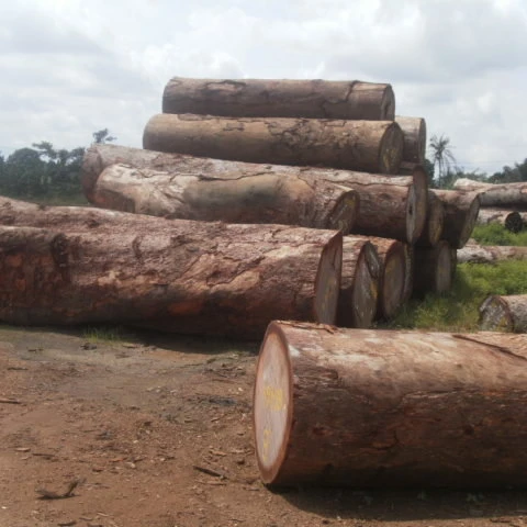 Round Timber Logs 500mm-600mm