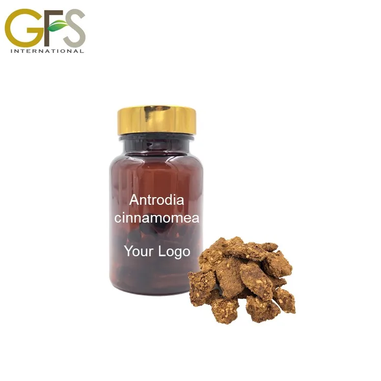 all types of Antrodia camphorata healthy foods