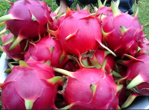 Best  sell White and red dragon fruit seeds  -  Fresh organic fruit  with LC/TT at sight for wholesale