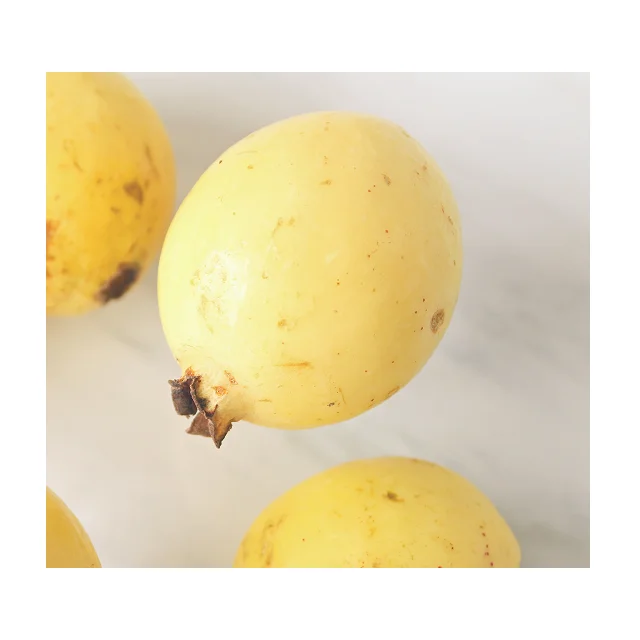 High Quality Organic Guava Fruit In Reasonable Prices