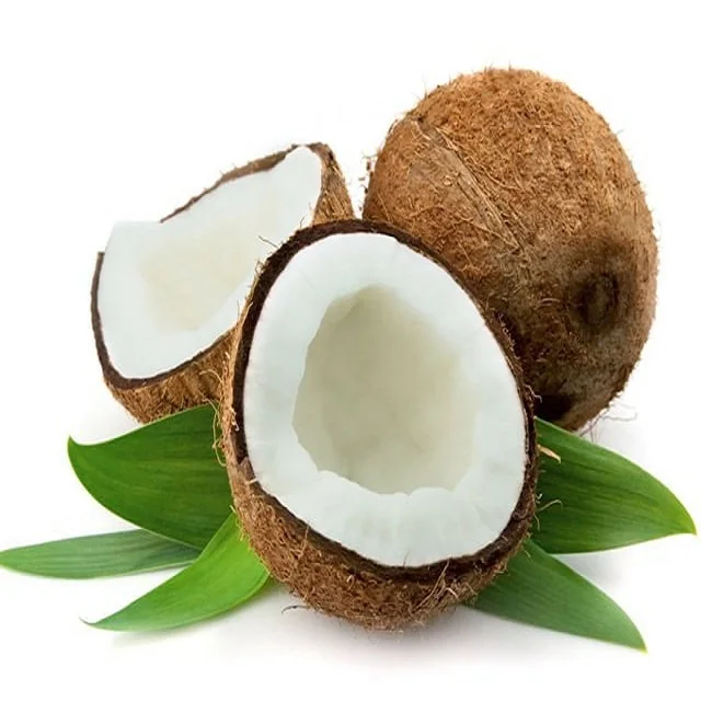 Wholesale Vietnamese  good quality 100% Matured Dried SEMI HUSKED COCONUT