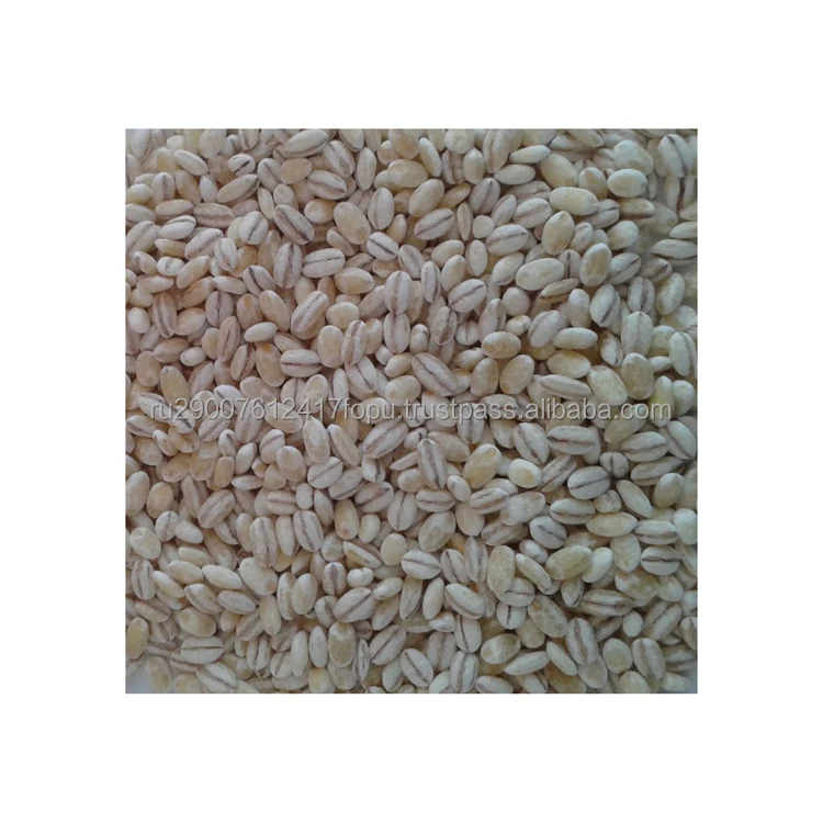 New barley groats contributes to the production of collagen and the preservation of youthful skin, barley (10000005846698)