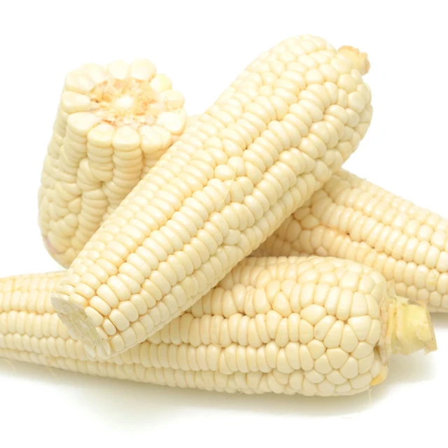 
Hot Selling White Corn 
