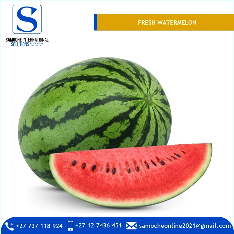 
Delicious Taste Premium Quality Bulk Fresh Watermelon from South Africa 