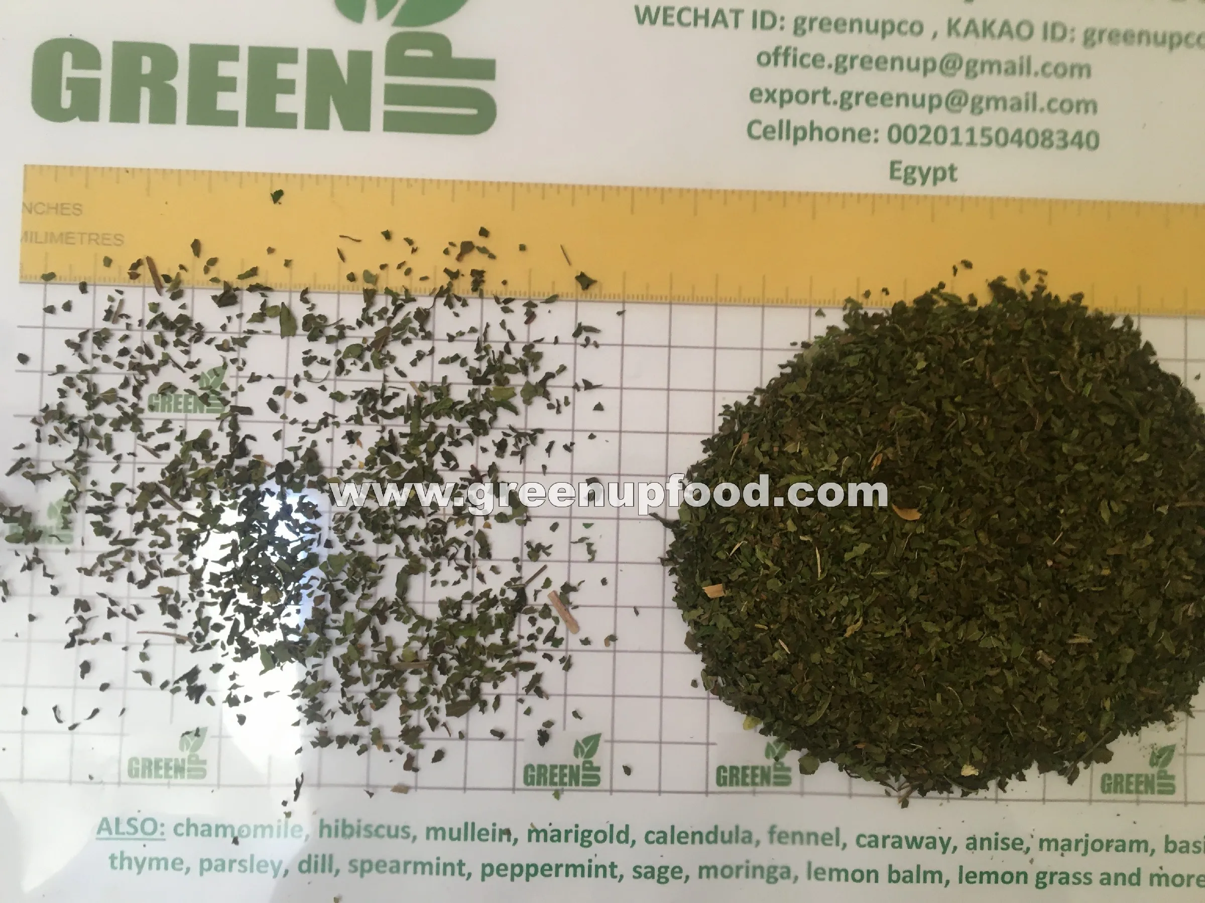 spearmint  leaves green color no ash content no admixture no black leaves  no impurities fresh crops Menthae piperitae