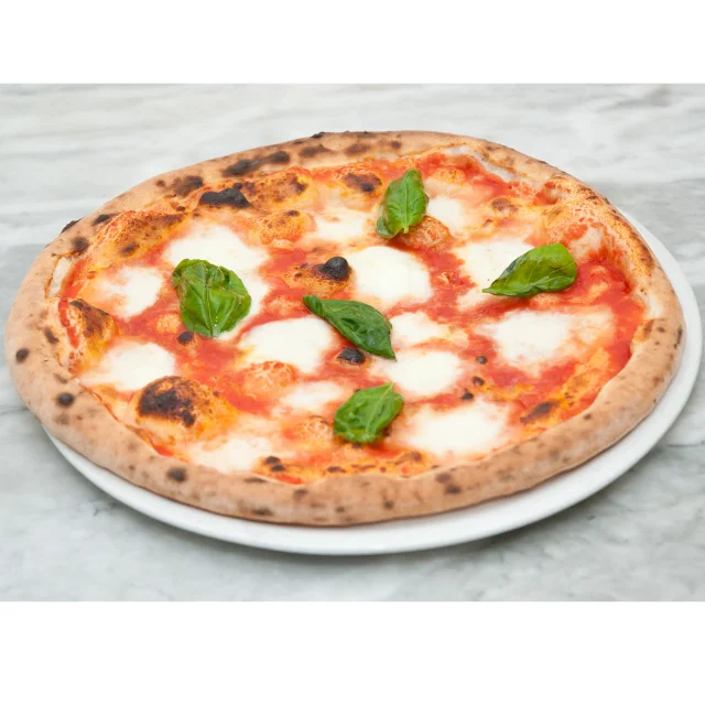 Casa Radicci Italian high quality dairy Lactose free mozzarella fior di latte 200g Spheric white soft fresh mozzarella for pizza