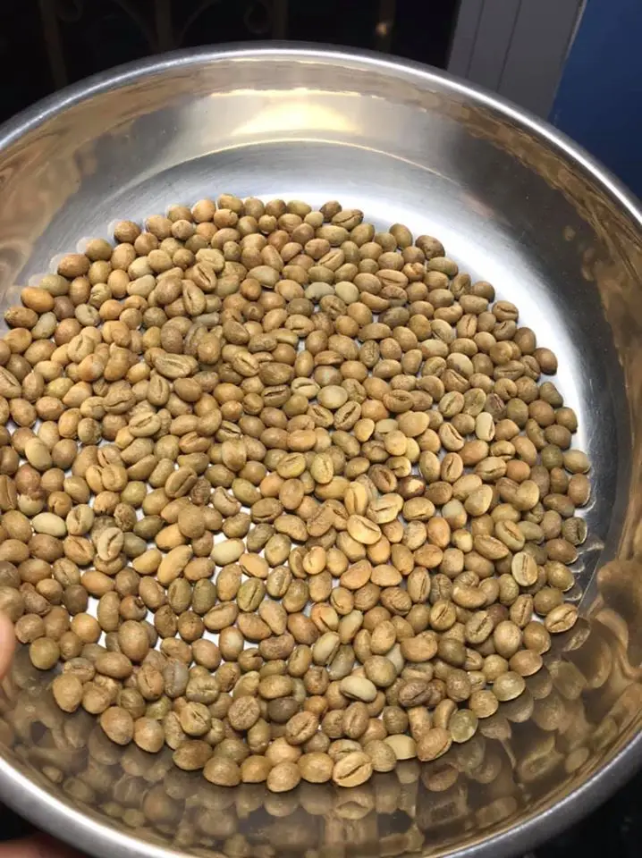 
Export Product With High Quality & Best Price Robusta Green Coffee Beans From Vietnam 