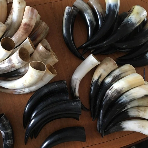 Natural Viking Drinking Horn tankard Mug Steins Mugs For Beer Wine Mead Ale Horn Tankard by SHAN INDIA