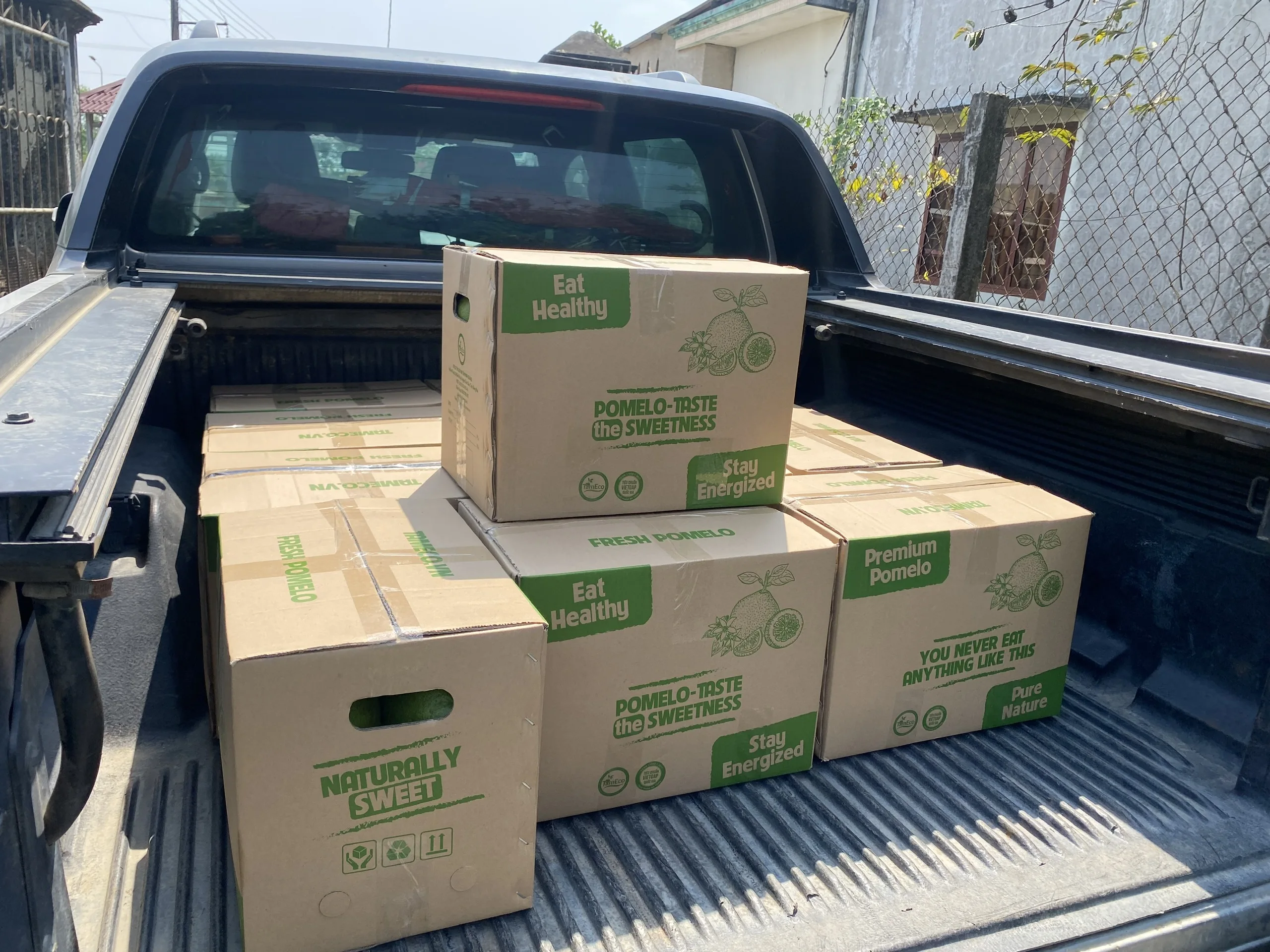 Fresh And Clean Agriculture Fruit Green Color Sweet And Light Sour Viet Nam Organic TamEco Pomelo from Viet Nam