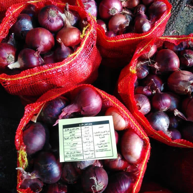 Egyptian Fresh Red Onion For Export