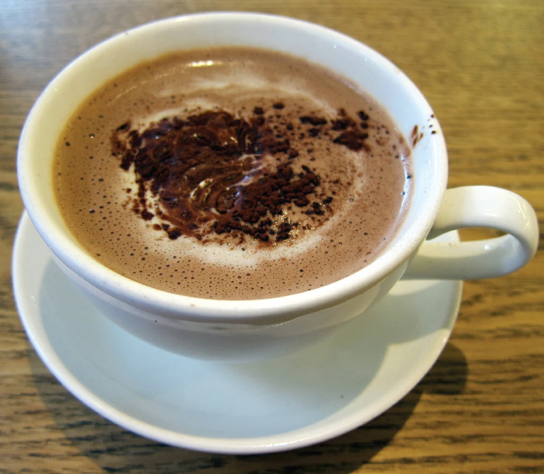 Organic Chocolate Raw Material Chocolate Powder Sugar Free - Vietnam Origin