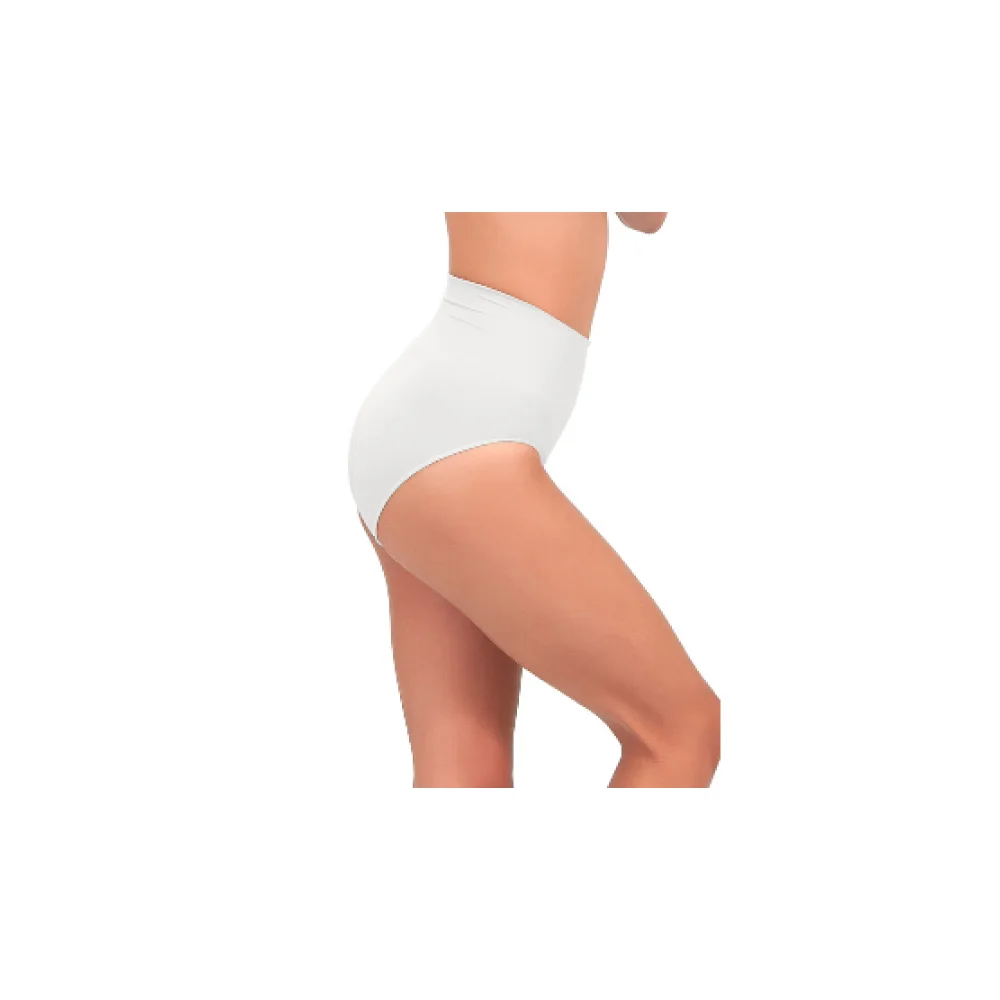 Wholesale Seamless Corset Brief Panty (Hi-Cut)