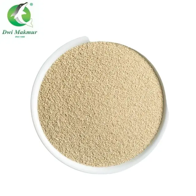 Best Seller  Price Premium Grade 11g Instant Dry Yeast Extract Powder Bakery Yeast For Dough Raise in Bulk Packing From Malaysia