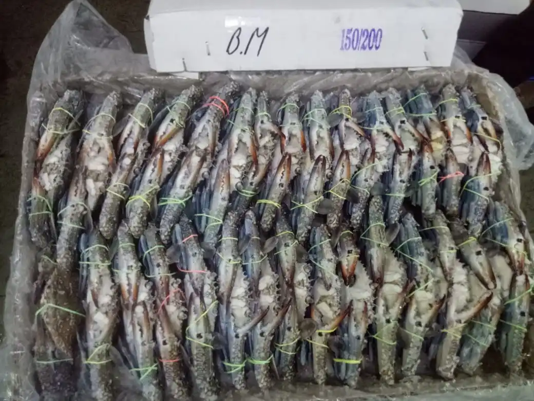 
CRAB BLUE SWIMMING FROZEN 